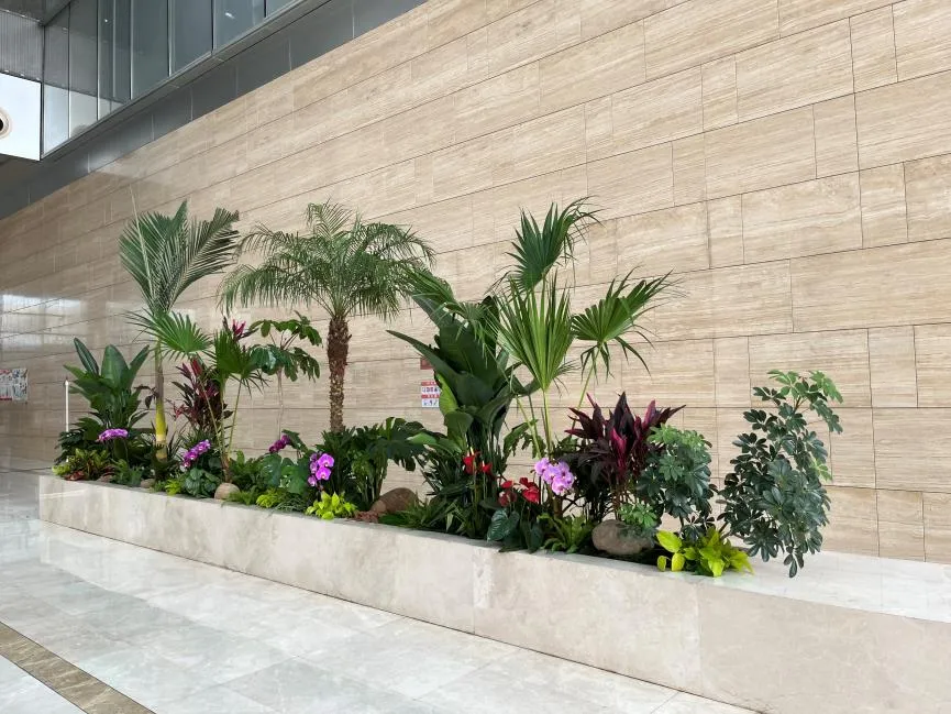 寻奉化花卉租赁优质之选，这份攻略请查收